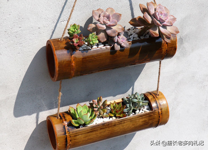 喜欢自己动手的肉友看过来,7种多肉自制花盆,你都玩过哪几种?