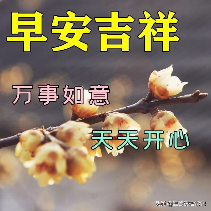 最新漂亮早安问候祝福动态图片,2022年最美暖心的问候祝福语