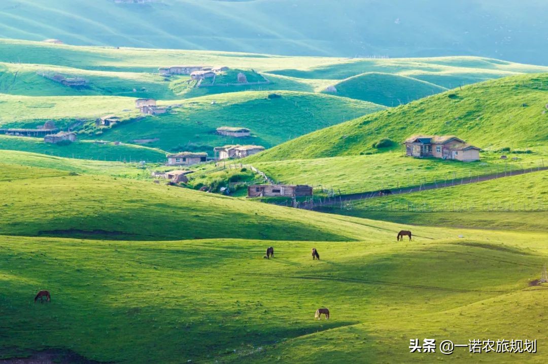 2022年29个乡村振兴补贴项目申报备忘录（收藏版）