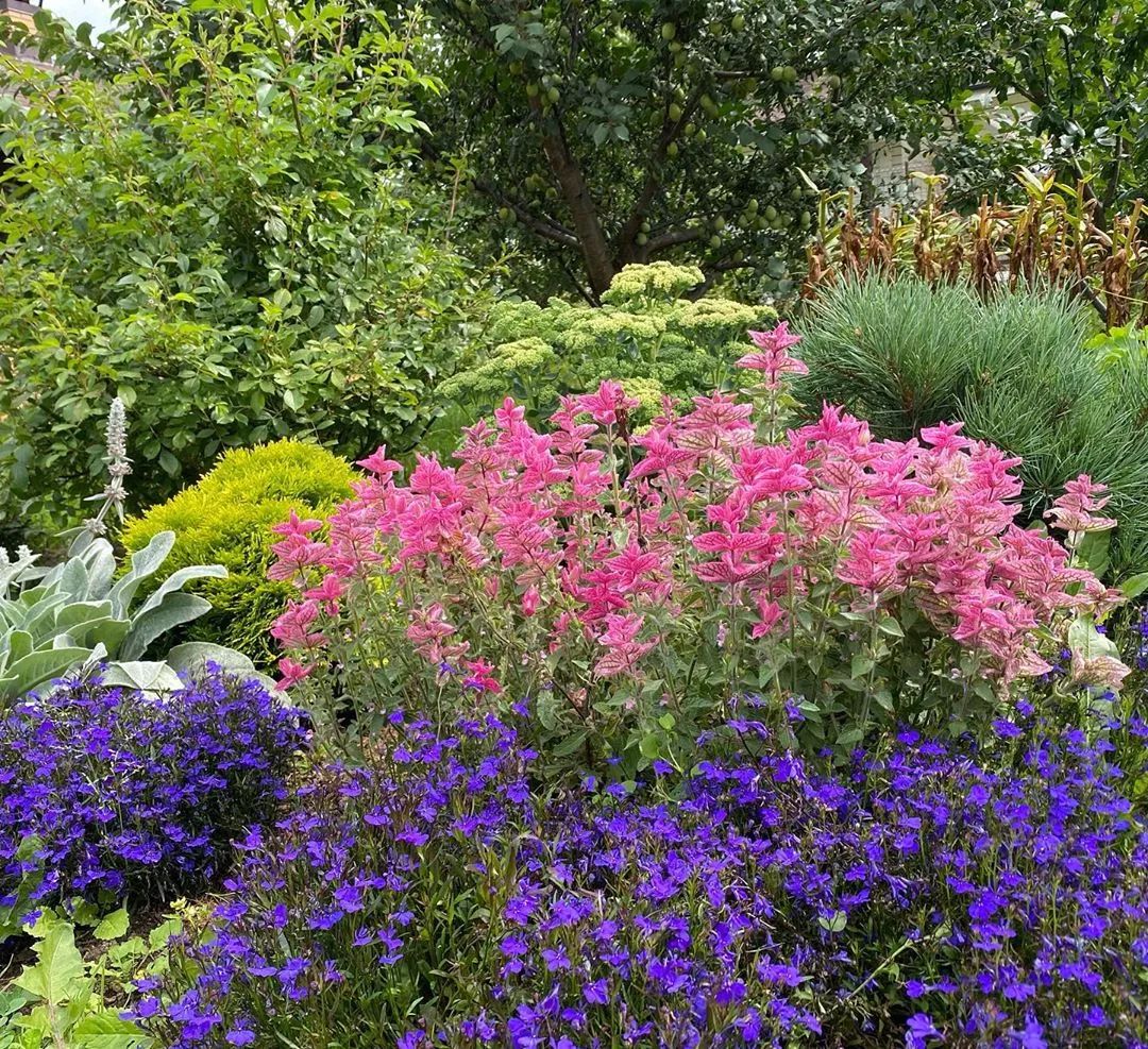 25种花境设计，让生活更美好，你最喜欢哪种？