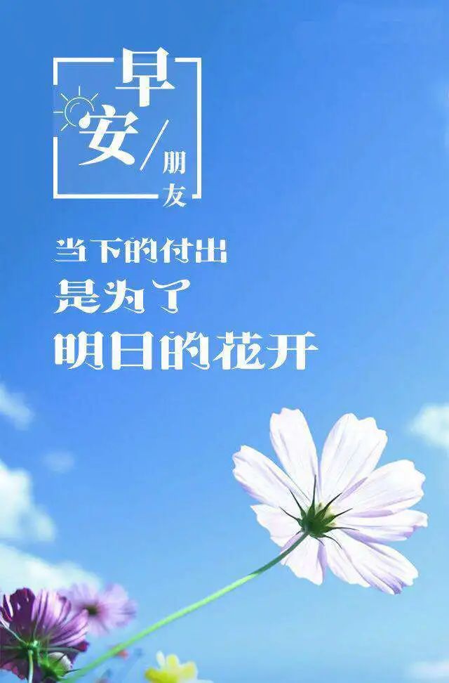 「2022.05.02」早安心语，正能量文案语录 奋斗不止早上好经典语录