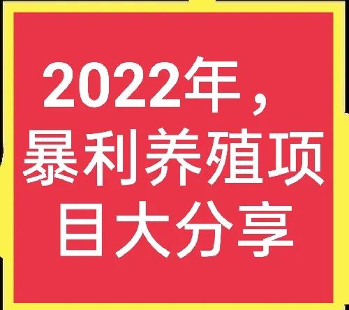 现在养殖什么最赚钱(2022年，养殖什么能赚钱？)