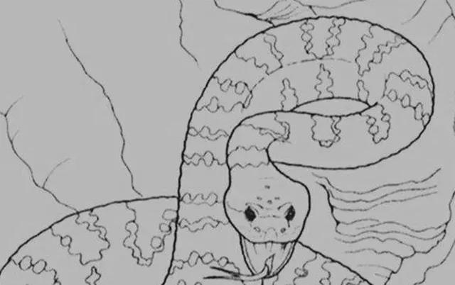 民间故事:男子抓蛇,见女子带他回洞中有蹊跷,道士大喊:莫要怕