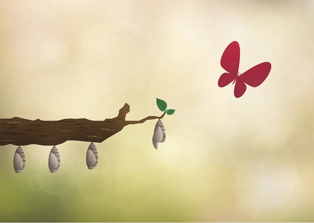 天语手机华丽转身？12年的伏笔，一朝惊艳，华米OV都抢着入股