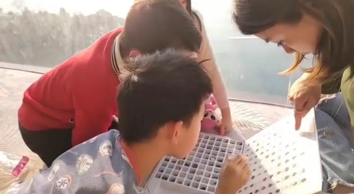 陈茵媺为次子庆7岁生日，家中无敌大海景抢镜，陈豪在家也戴口罩