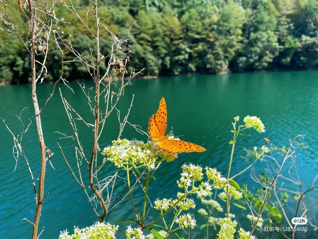 山水风光，惊艳绝美，杭州这8处宝藏水库一定要打卡