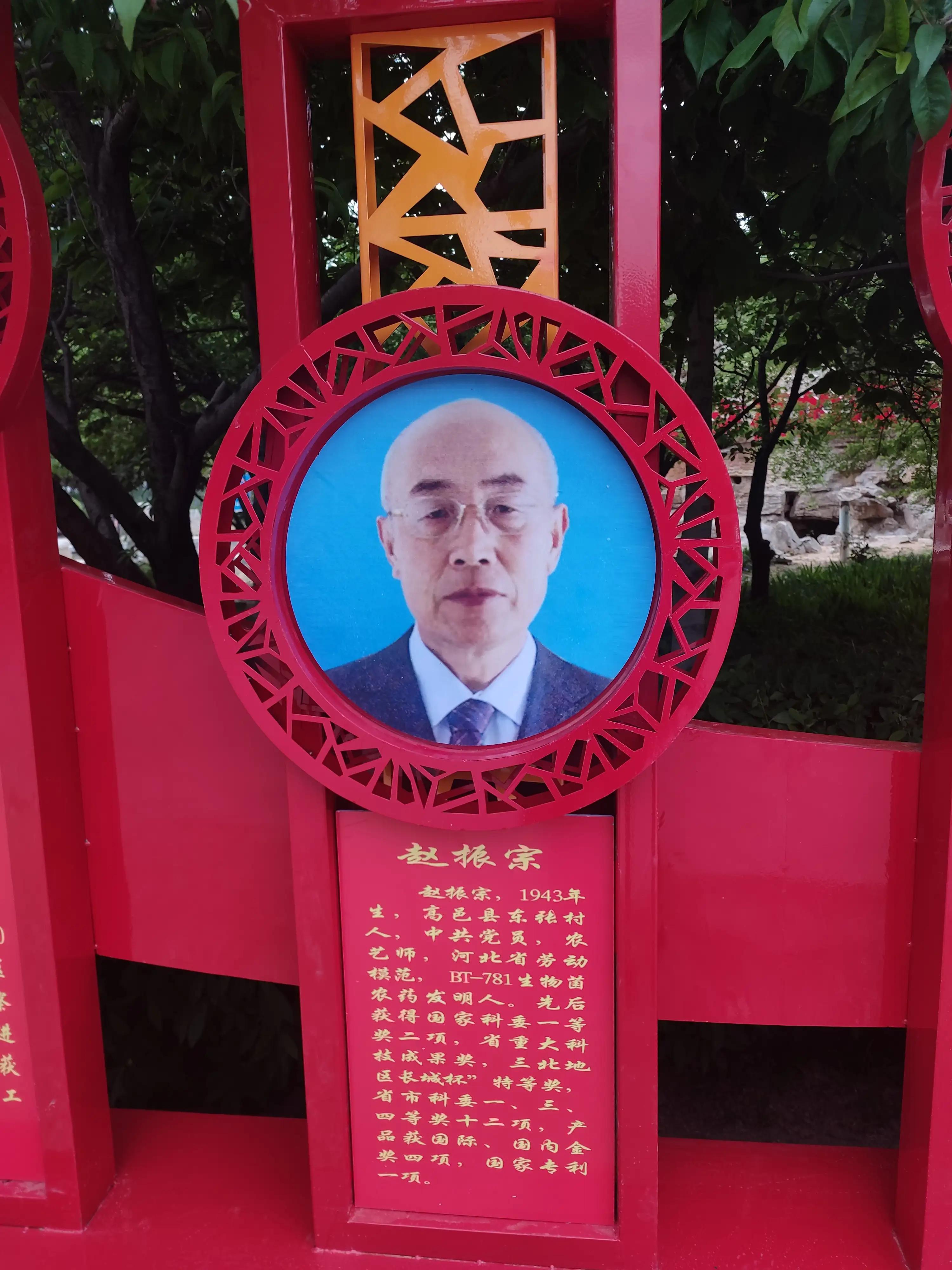 䛲鿴D