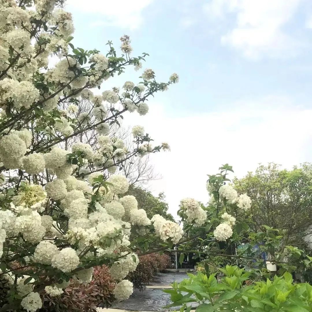 中职榜样丨证书见证步步成长，努力写就青春风采