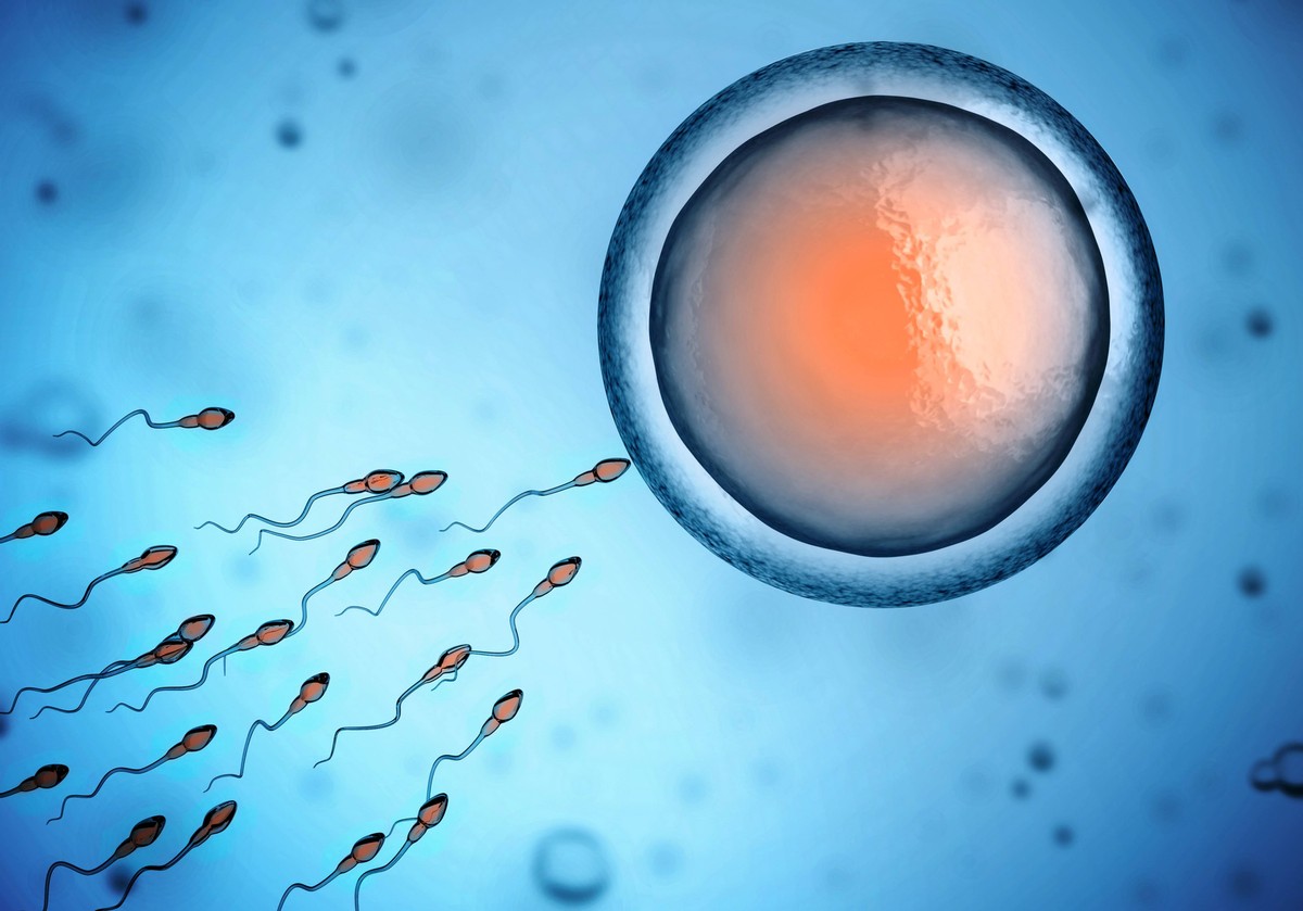科学家拍到：精子和卵子结合的那一刻，真的会瞬间爆发出巨大闪光