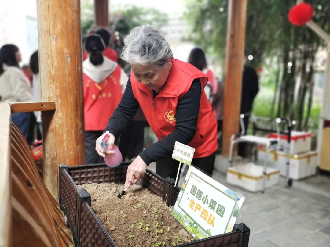 不亦乐乎！养老院可以种菜了