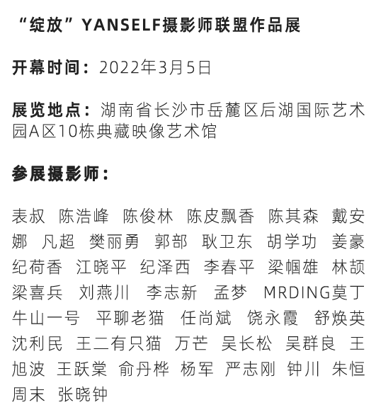 我们为什么要街拍?