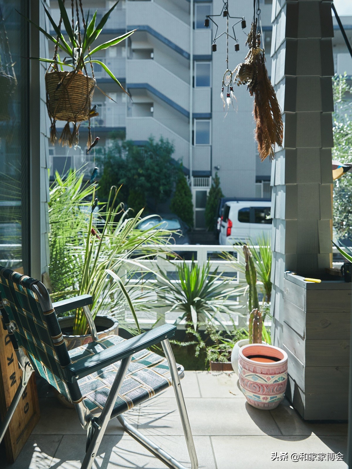 绿色植物助力“邻里关系”| 美式风格的老房翻新装修