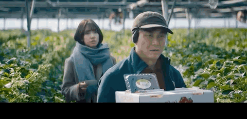 全程高能的韩国烧脑电影，据说很多人看不懂——《电话》