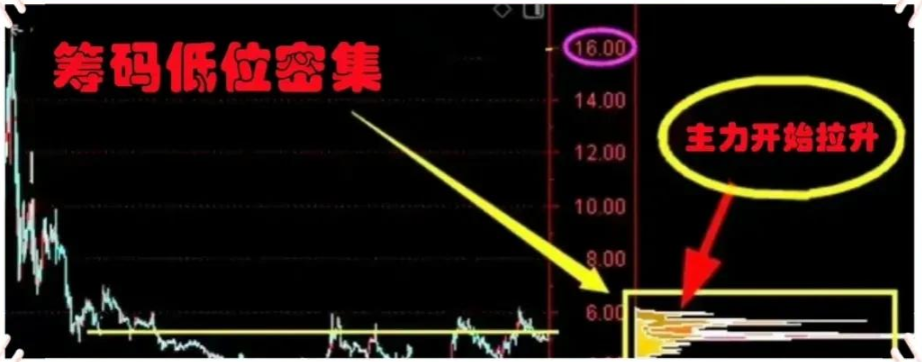 经历爆仓的老股民终于扭亏为盈了！只因看懂了“筹码”，值得收藏