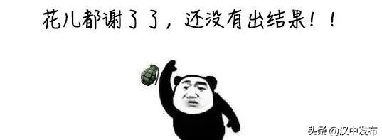 勿催！一份核酸檢測報(bào)告的誕生不簡單→