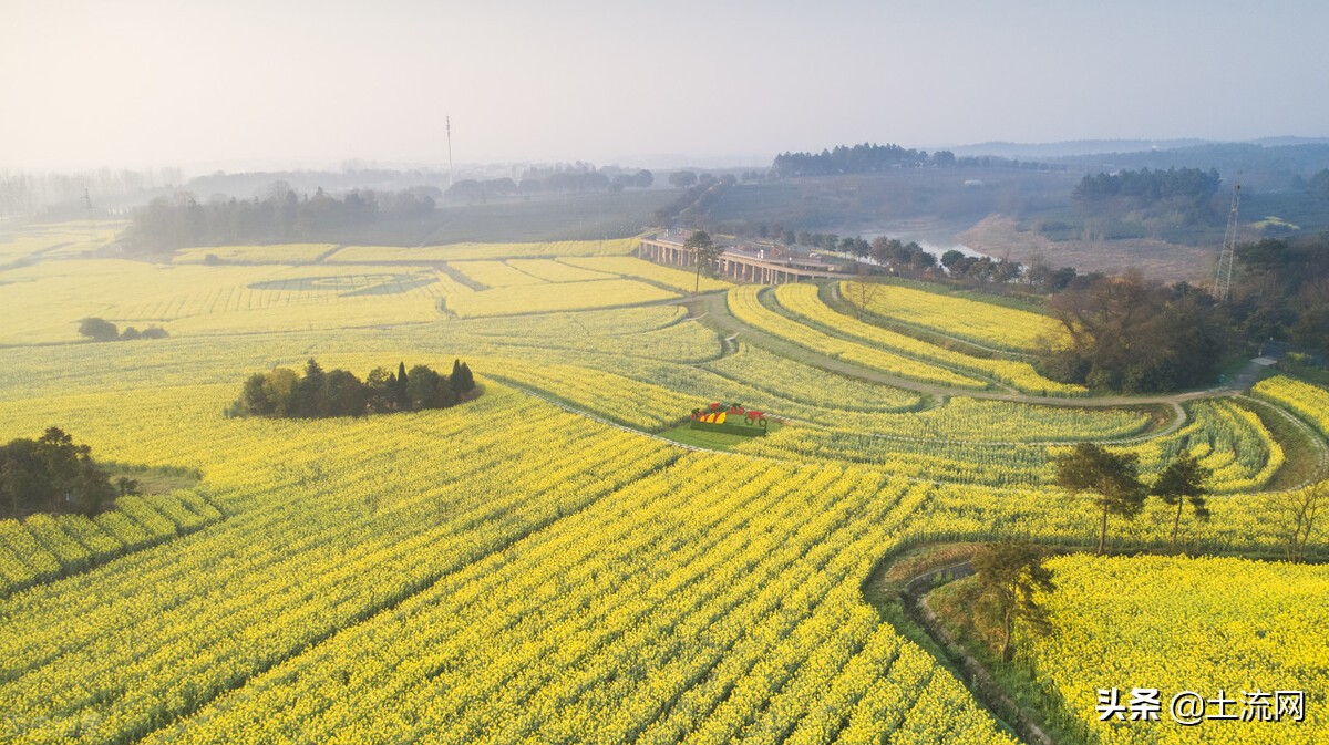 江蘇省2022年耕地地力保護(hù)補(bǔ)貼標(biāo)準(zhǔn)為120元/畝！附具體發(fā)放時(shí)間