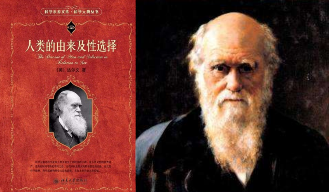 ����Ϊʲô��ʧȥ�������ǡ��������ǽ������ƣ����ǵ����ˣ�