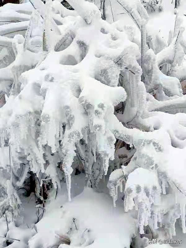 我爱你，洁白的雪