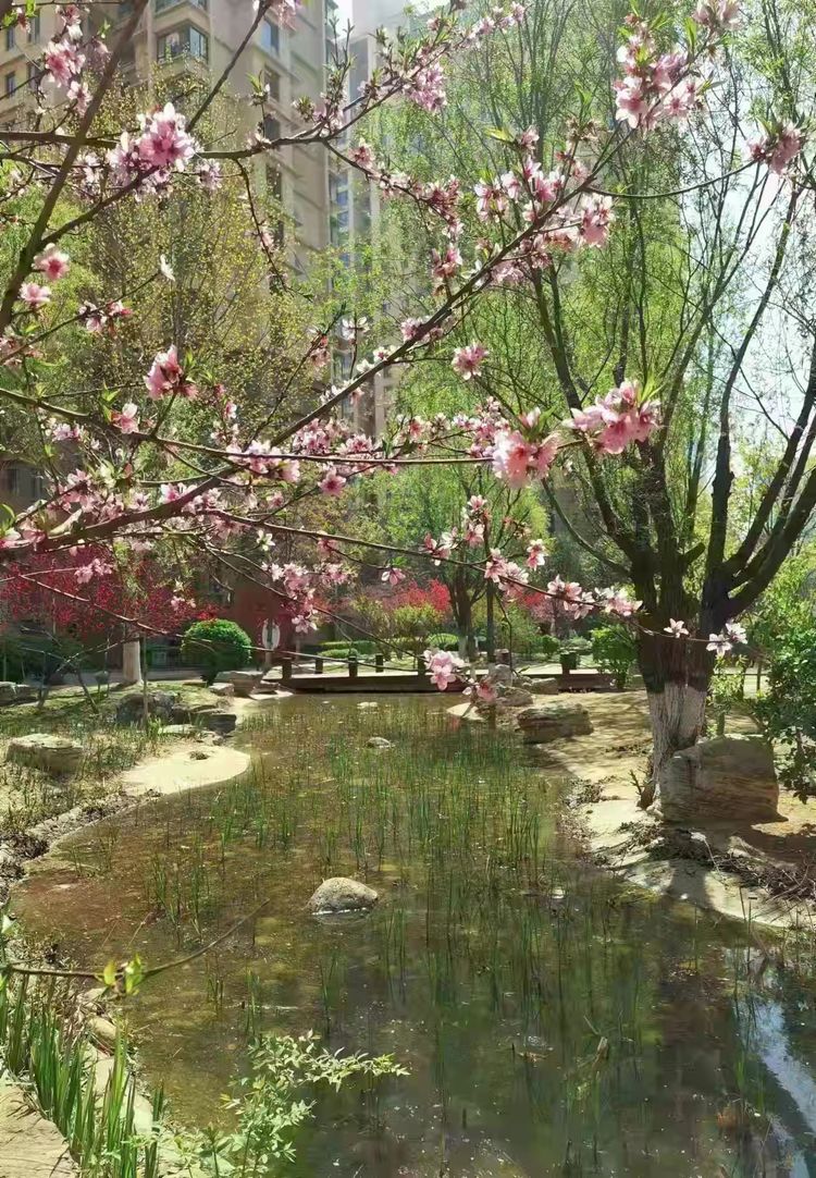 兵哥三人行：鹧鸪天.海德园觅春 摄影刘继章 诗文赵富山 书法翟凤肖