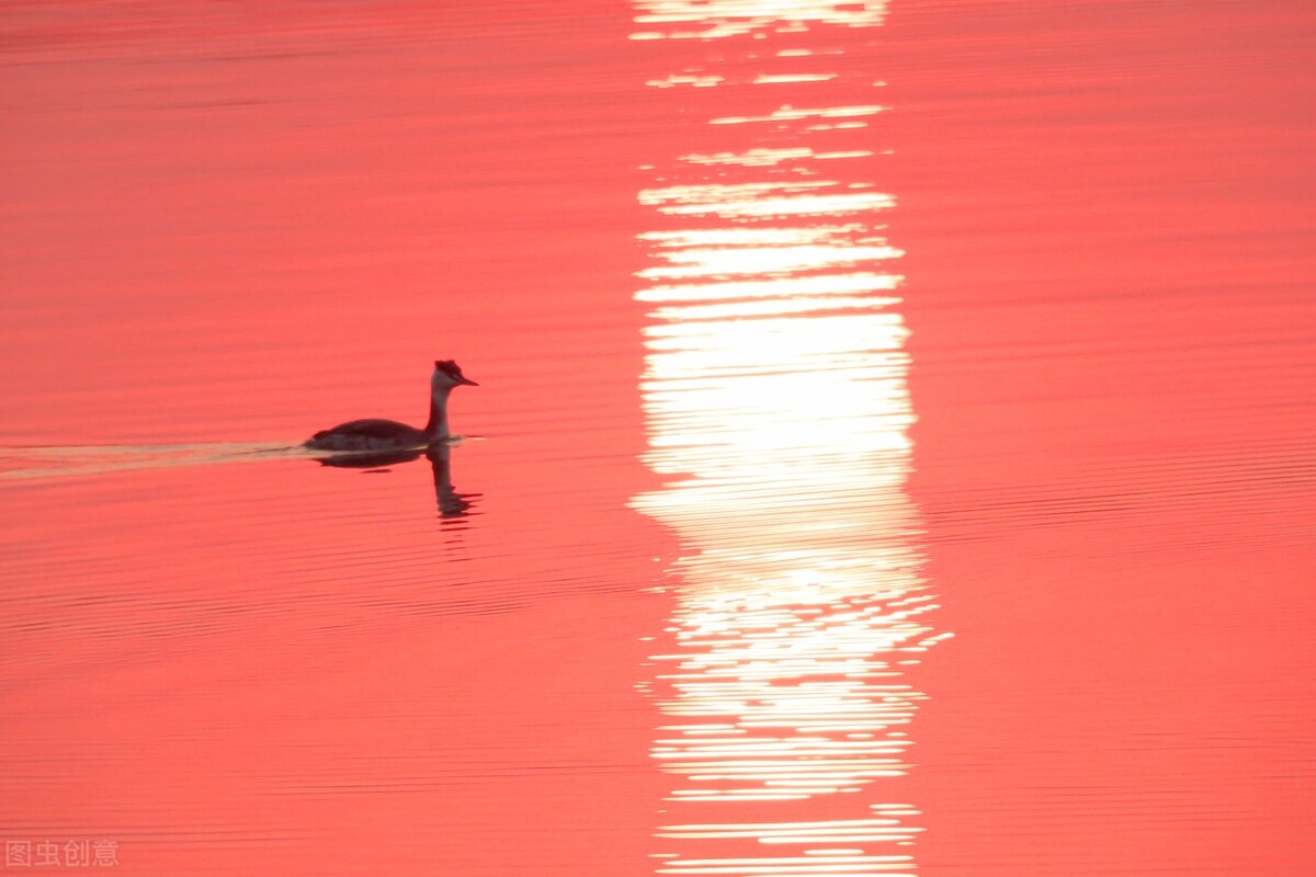 60张唯美惊艳夕阳图片。夕阳无限好，只为近黄昏