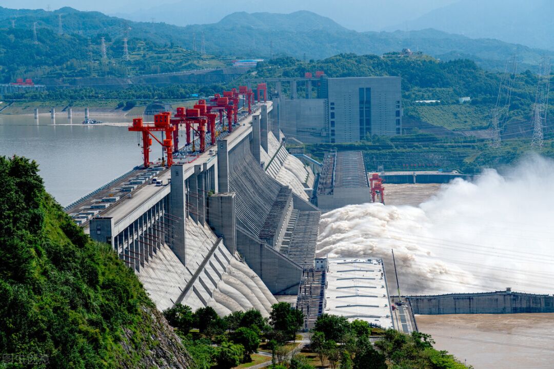 长江再现神秘物种——鳤，十年禁捕：若不保护，将无鱼可吃