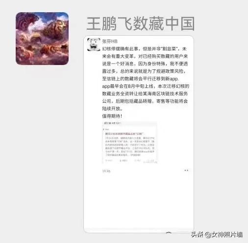 网传某核转让数藏中国？