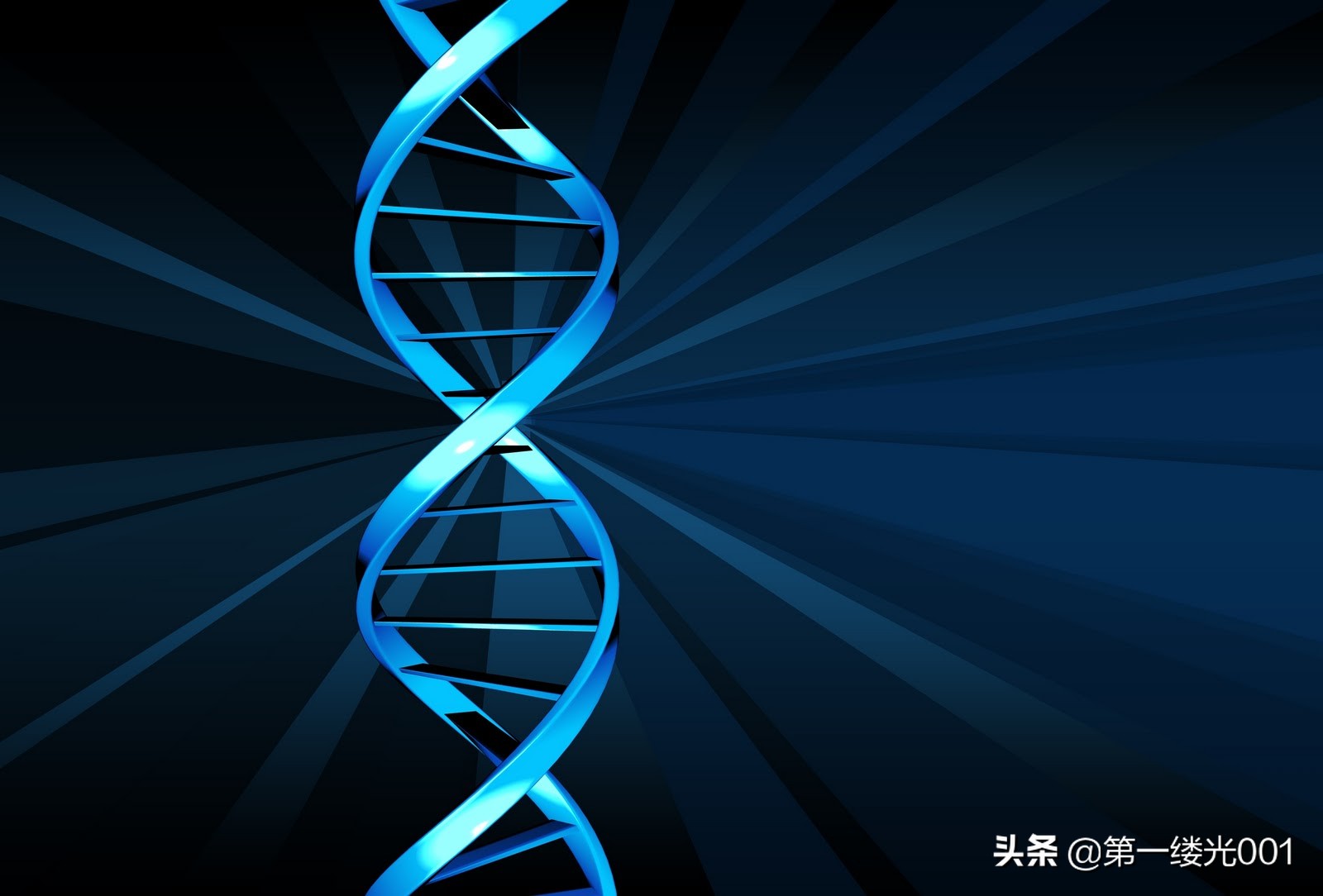 生物密码——DNA、双螺旋结构及其特征