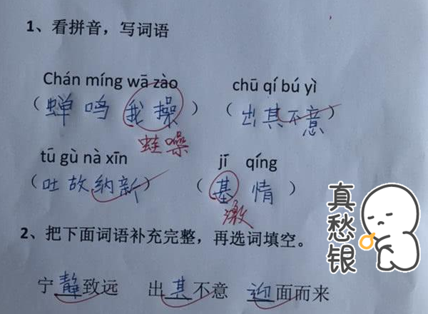 “地上的草像爸爸的头发”，小学生造句题走红，语文老师评语亮了