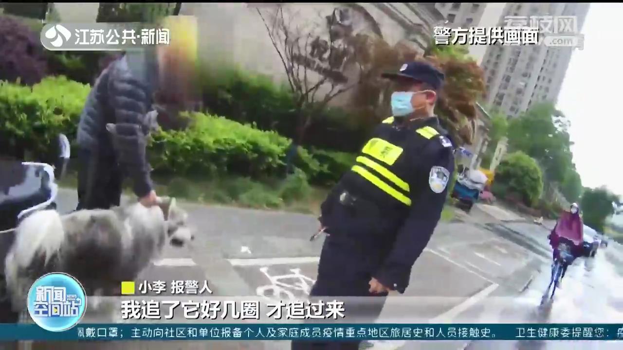 狗狗当街“流浪”主人被罚50元 提醒：犬证必须要在犬类生活当地办理