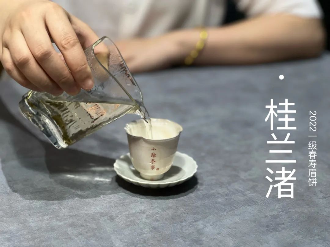 很多茶友都在用的3种泡茶方法，其实一直都泡错了，纯属浪费时间
