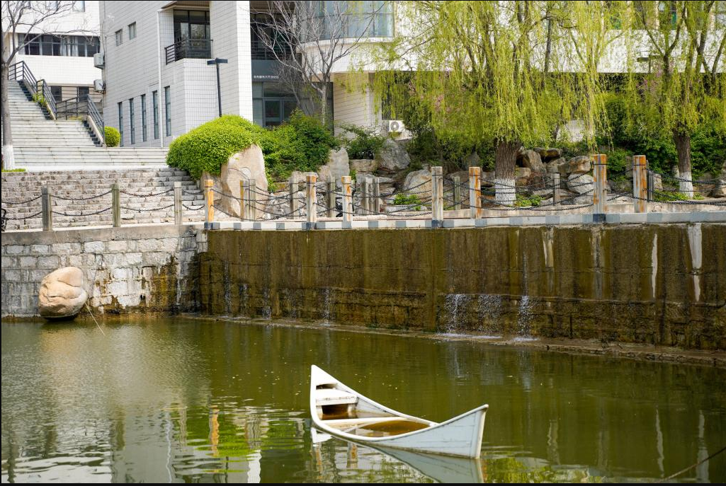 美术统考236分！报考山东艺术学院需要高考文化成绩多少分？