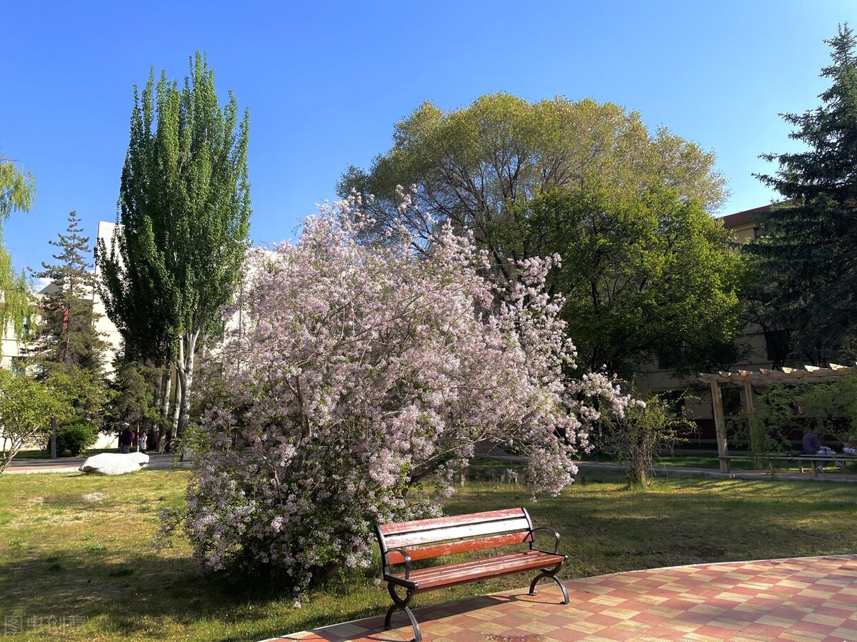 青海最好的4所大学，受官媒点名表扬，收分不高，适合中等生报考