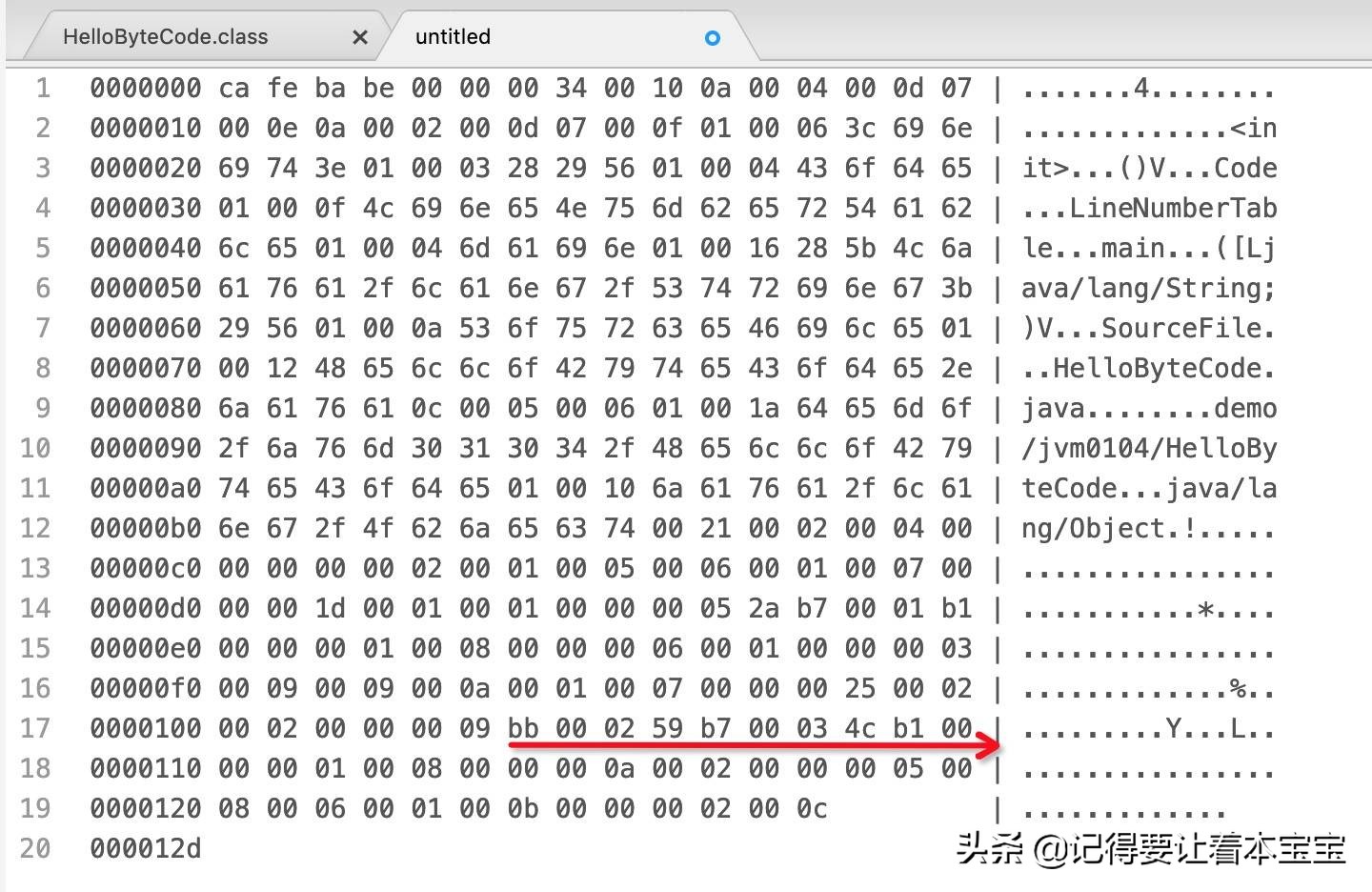 Java 字节码技术详解