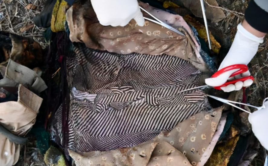 1994年，男子因杀妻被判15年，11年后“亡妻”归家，竟已再婚生子