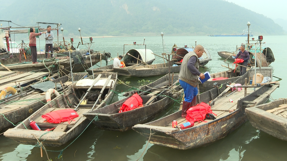长江再现神秘物种——鳤，十年禁捕：若不保护，将无鱼可吃