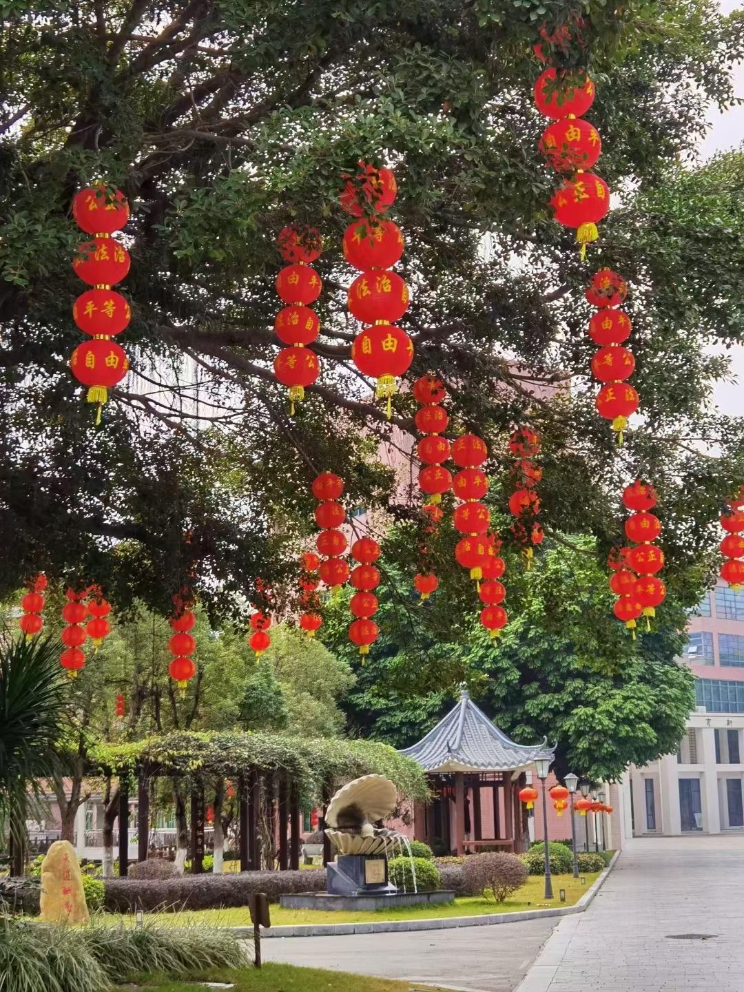 廣州市南沙第一中學(xué)：我在豐澤東路的日子(圖5)