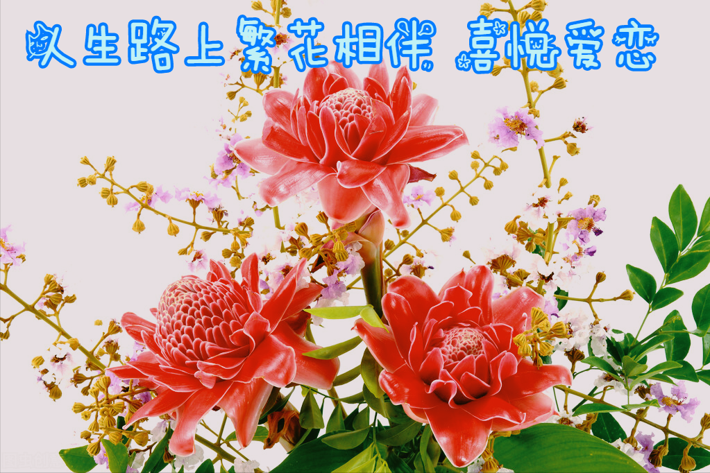 一花一世界，一花一深爱，只要与花相遇，就念在心里，爱到永久