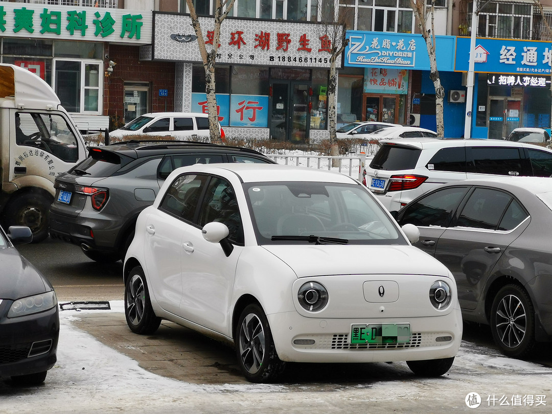 东北（黑龙江）零下30度，新能源车主的真实买车、用车体验
