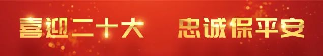 重庆交通违章信息查询,重庆交通违章信息查询网