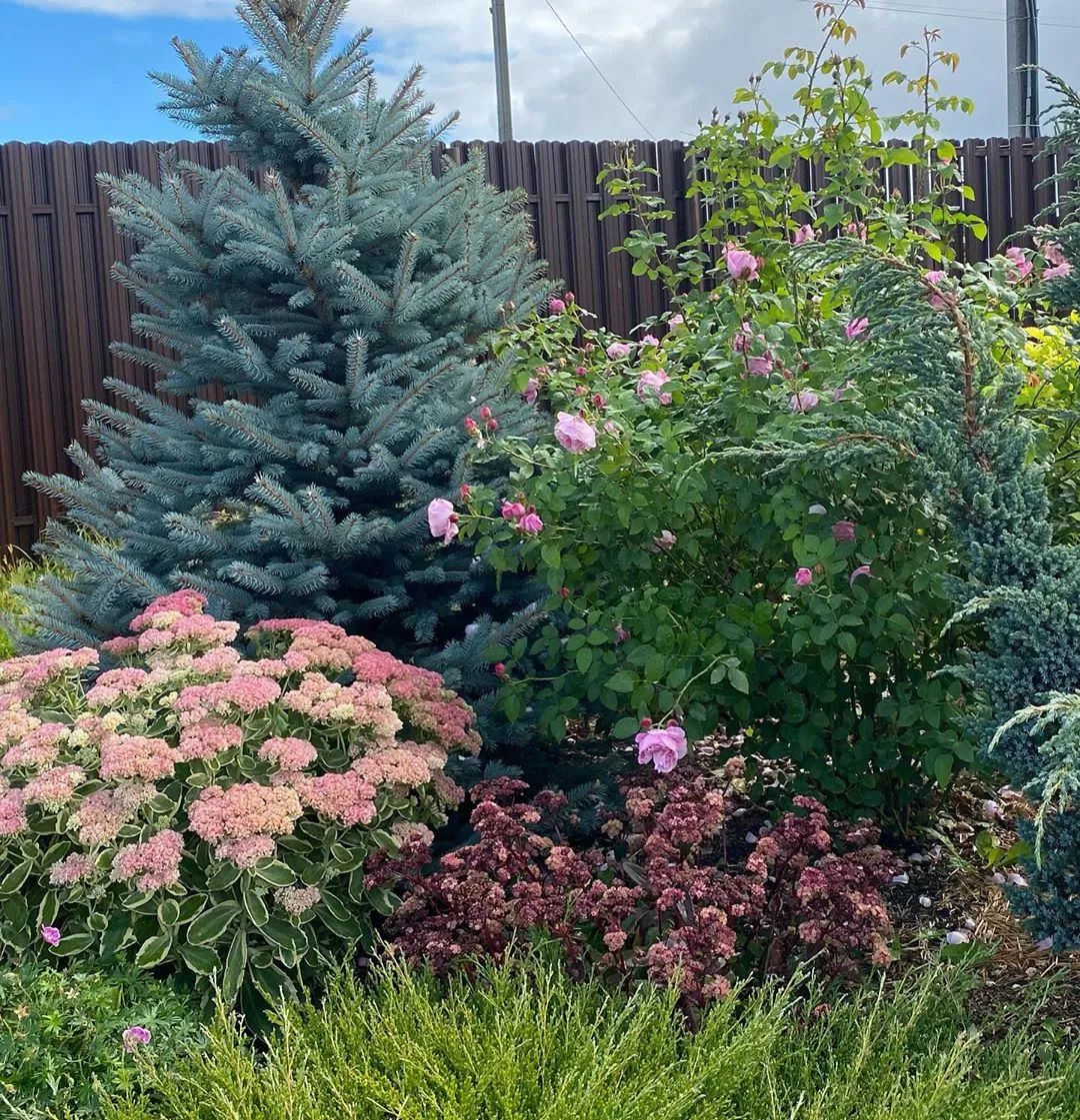 25种花境设计，让生活更美好，你最喜欢哪种？