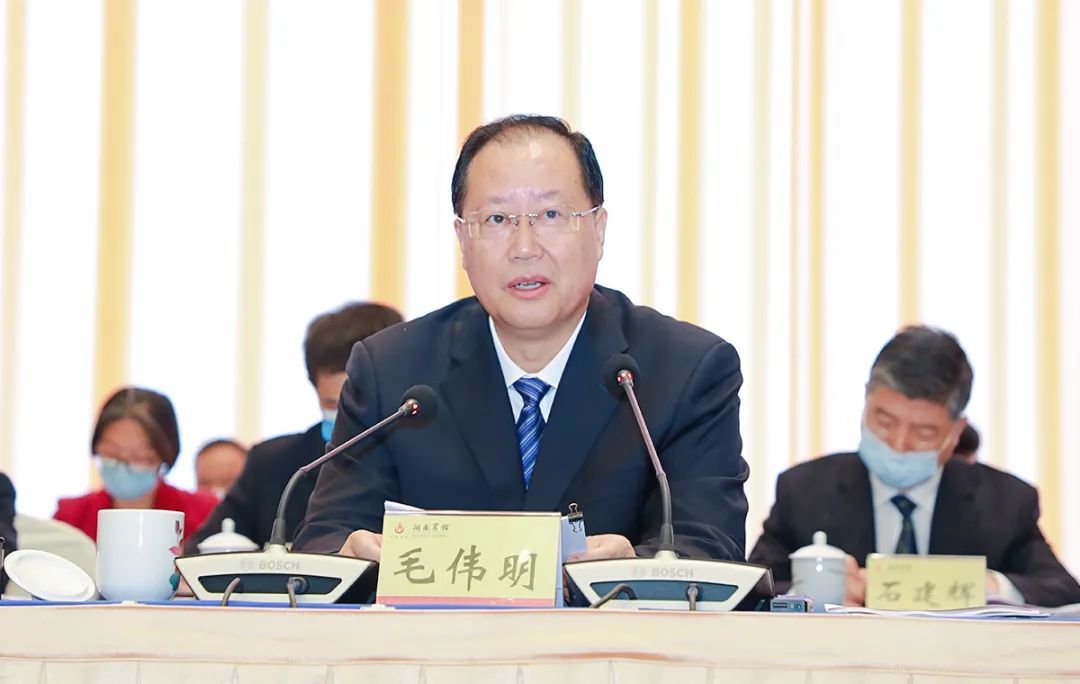 劳嘉当选湖南省工商联（总商会）第十三届常委