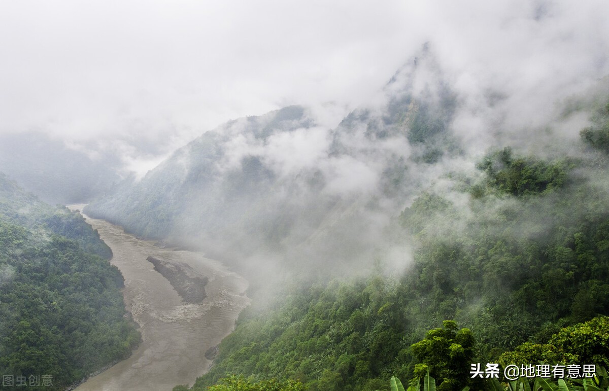 世界上最高的树(76.8米，中国大陆已知最高树，为什么生长在西藏墨脱？)