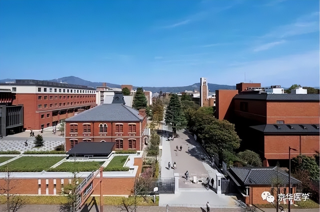 日本顺天堂大学访学案例分享