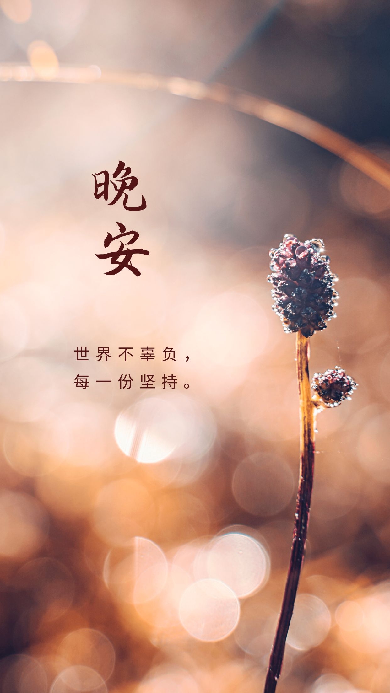 晚安,来选一句话,在朋友圈告别这一天