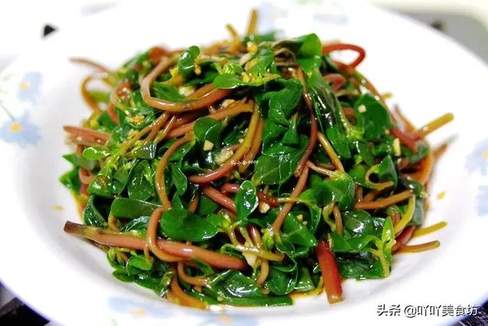 春天不可錯過的10種野菜，自然清新的味道，比肉還受歡迎