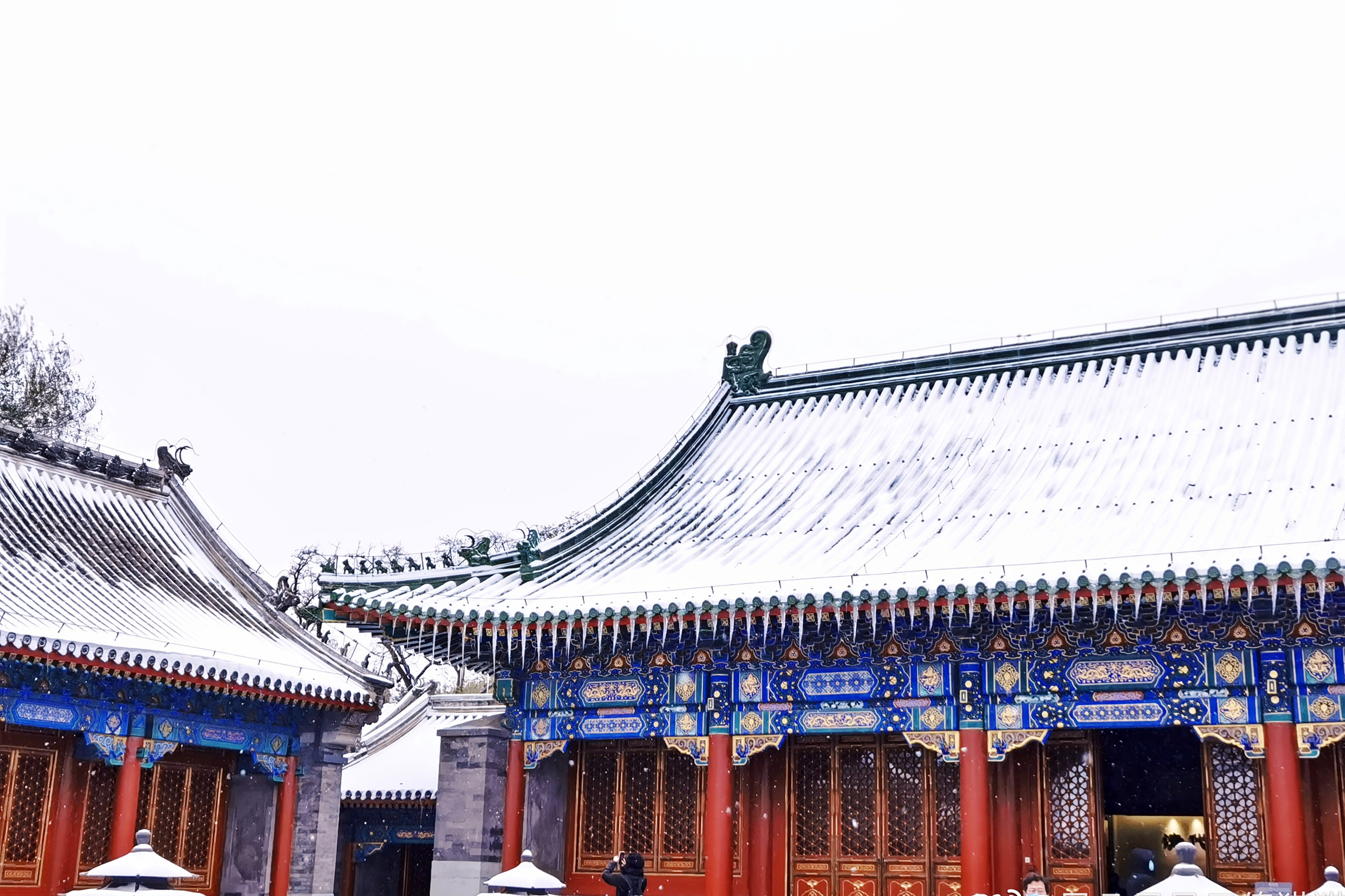 2022年的第一场雪过后，北京的10个好去处，红墙白雪年味浓