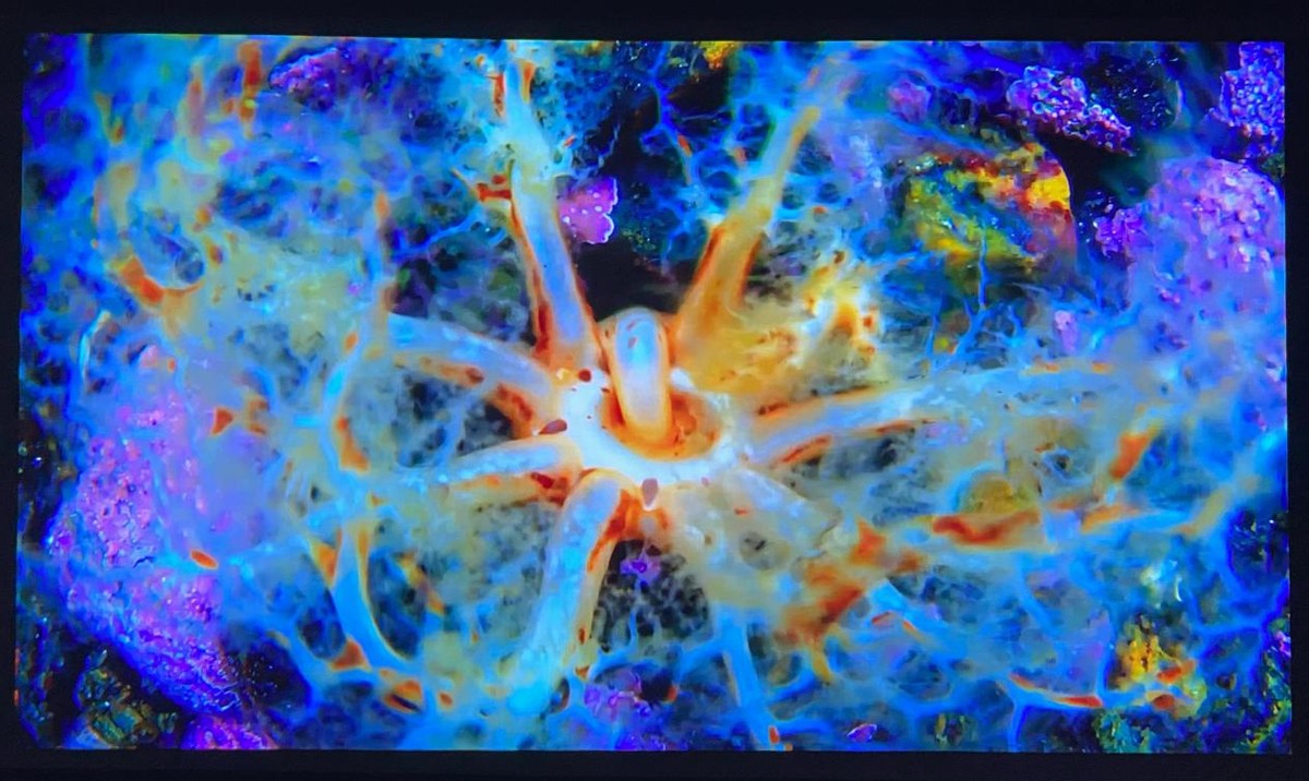 春节多亏有它：泰捷WEBOX T1系列投影仪上手实测