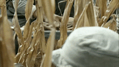 抗日剧变矫情？涂发胶抹口红，白面烧饼还嫌弃，对得起以前战士吗