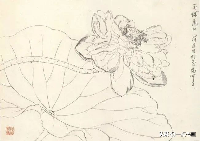 荷花图画 绘画简单（手把手教你画出水墨荷花画）