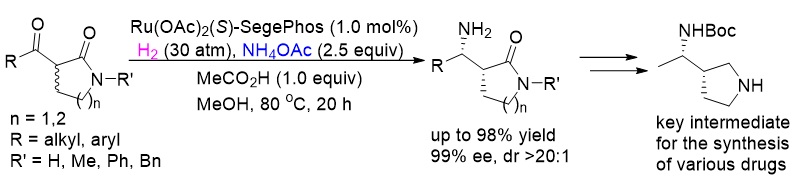南方科技大学张绪穆教授近年来工作概览